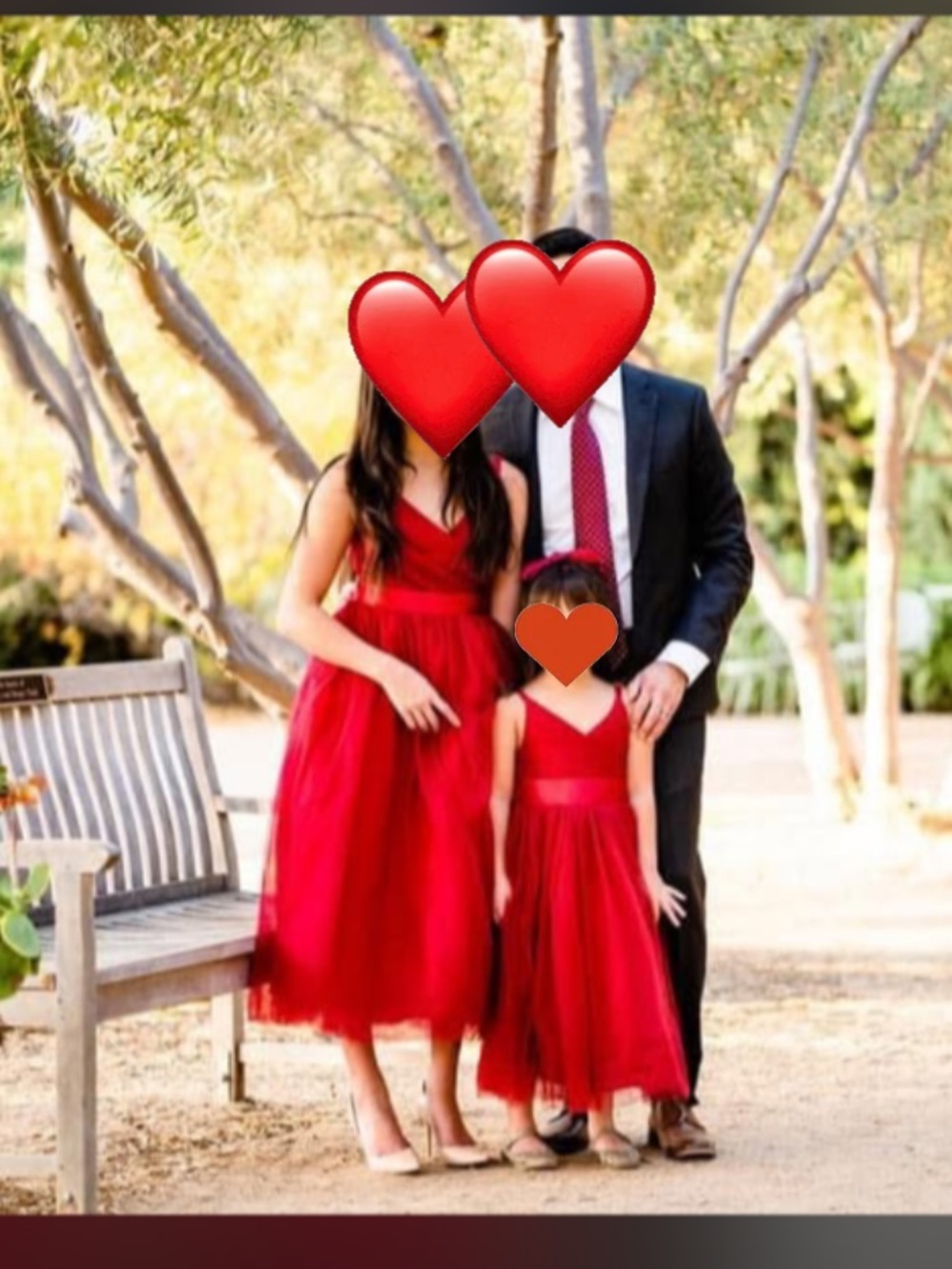 Girls Red Tulle Ball Gown Dress - Picture 3 of 4